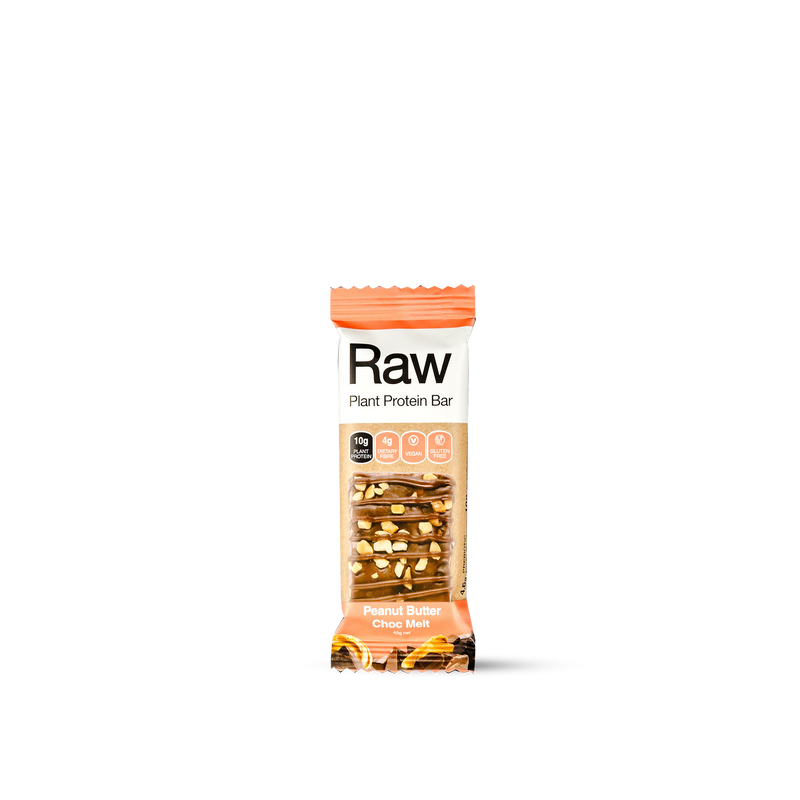 Protein Bar Peanut Butter Choc Melt