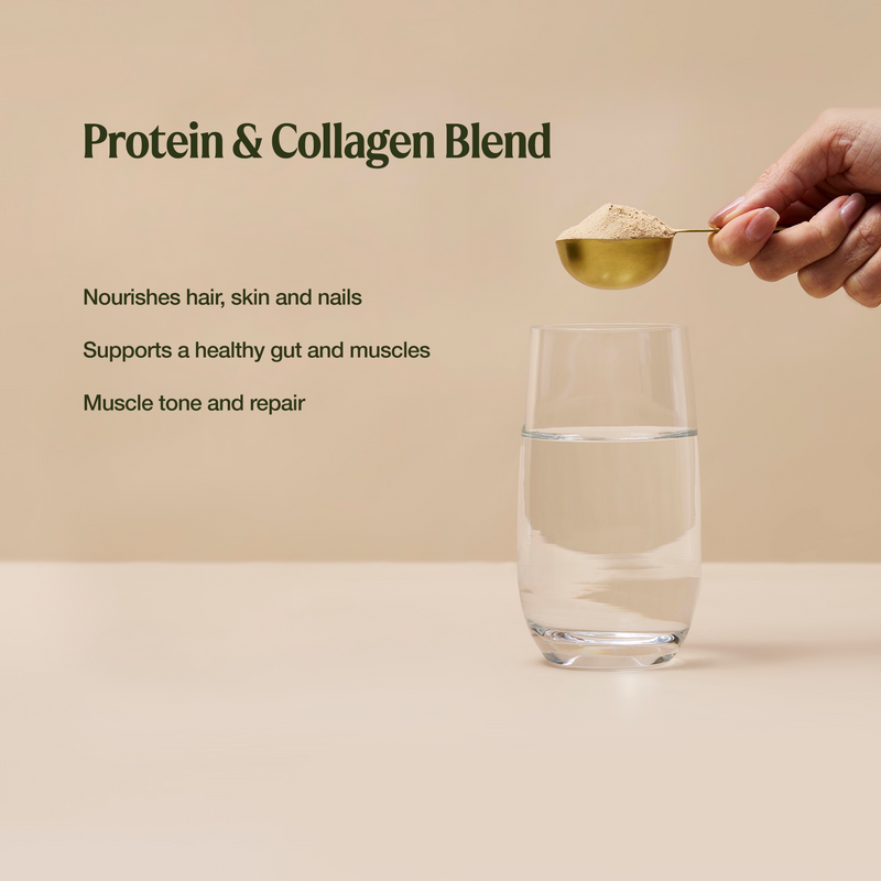 Raw Protein Collagen Plus Choc Hazelnut