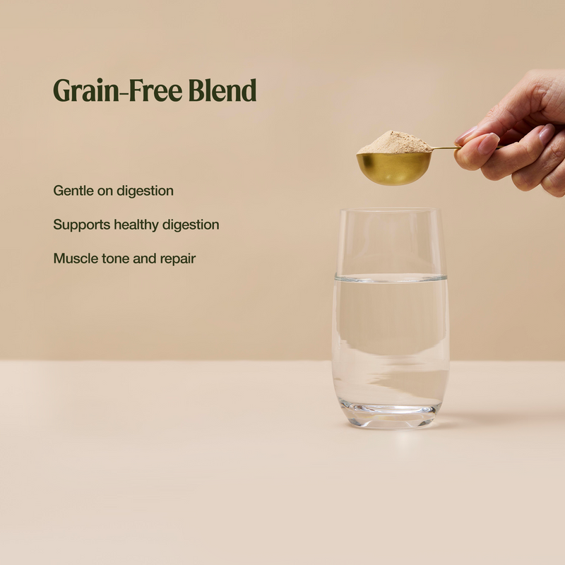 Raw Protein Gentle Digest Chocolate